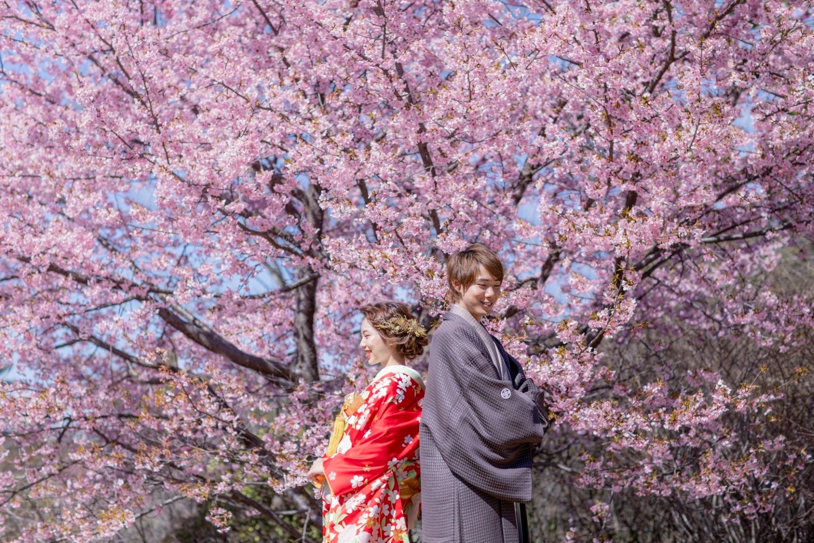 河津桜と撮影できる『昭和記念公園ロケーションプラン』期間限定キャンペーンを実施