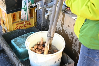 ③昔ながらの手法で洗います