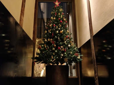 PDdffohQuQmXh3Il9OhH.jpg?w=940&h=940