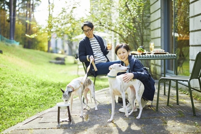 PENiMD3zT6DKcQggzSvm.jpg?w=940&h=940