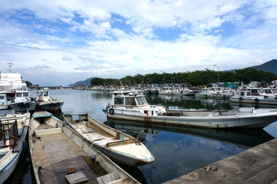 PEzylke3xXU5PTAha2db.JPG?w=940&h=940