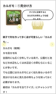 PFHQRrhKebVQXFVYb918.jpg?w=940&h=940