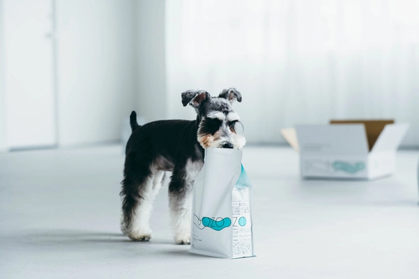 長く愛用され続け、10万食を突破！愛犬の健康を第一に考えた至高のドッグフード！