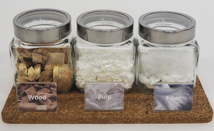 テンセル™繊維の過程(左から木材、木材パルプ、繊維)