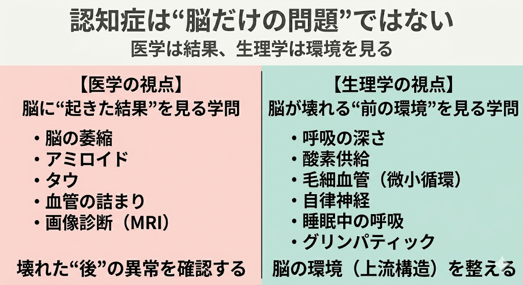 🟥【認知症第一回】認知症は"脳だけの問題"ではない──医学が扱えない「脳の環境」に注目する新しい視点