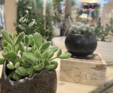 PIBzUvYcEnSyTdIu2emZ.jpg?w=940&h=940