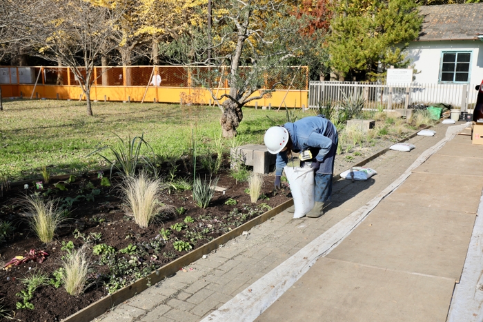 平間 淳子 植栽風景