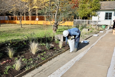 平間 淳子 植栽風景