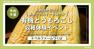 有機とうもろこし収穫体験イベント2024イメージ画像①