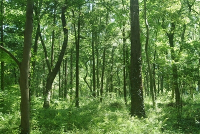 PJJK8SyzzMKNlHDHuTVW.jpeg?w=940&h=940