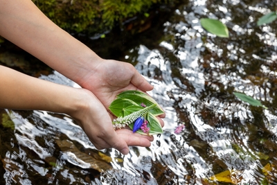 PJNOPP4rmhtNy46qK7zW.jpg?w=940&h=940