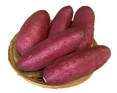 PJgyfCXf0JcUL76d2Cry.png?w=940&h=940