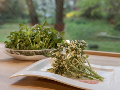 PJsWTVKboFHcyLHzRz4I.jpg?w=940&h=940