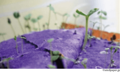 PKalorn5Nzm8NfehwkJc.png?w=940&h=940