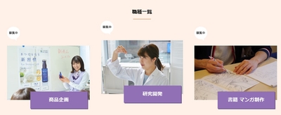 採用情報（職種一覧）