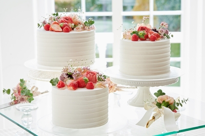 PLBuEf5nut2u5PRLgIlC.jpg?w=940&h=940