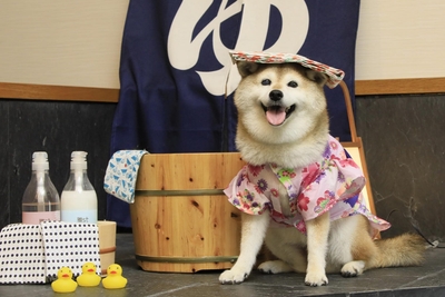 屋内フォトスポット