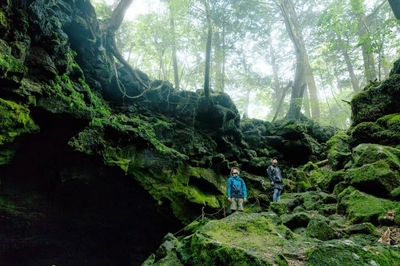 PLVIzzph3W2oFQSAIivk.jpg?w=940&h=940