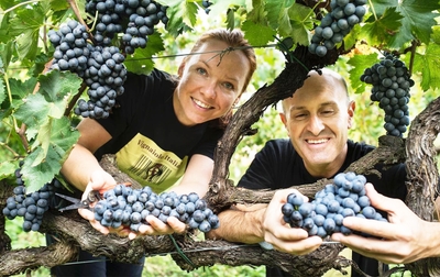 PLrCRgnzdhZnnXFcfcC9.jpg?w=940&h=940