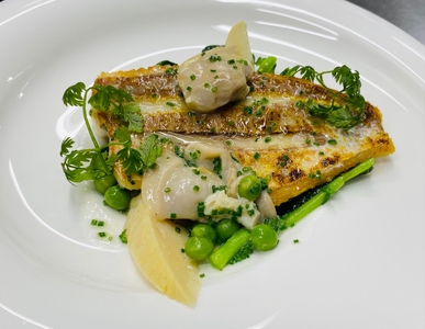 三河湾産イトヨリのロースト、蛤とシブレットのバター風味ソース