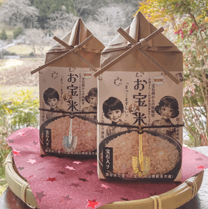 PO5O3A5Q2OTKcux9kOs6.png?w=940&h=940