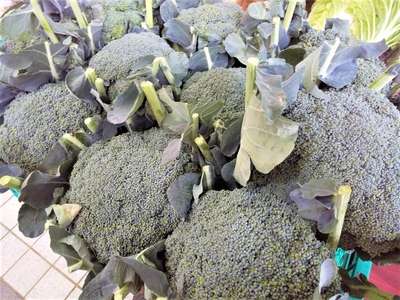 POUTWYtqOincJag8ReBK.jpg?w=940&h=940