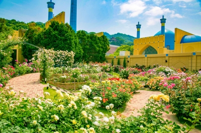 POpxzEln3FrHg7fBCLXu.jpg?w=940&h=940