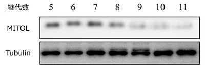 PPipv7sFK51MngP3jxOm.png?w=940&h=940