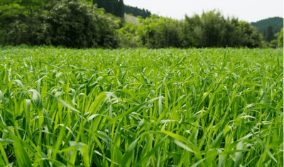 PQzQgwHYZvmwqw47bODU.png?w=940&h=940