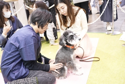 講座　※イメージ