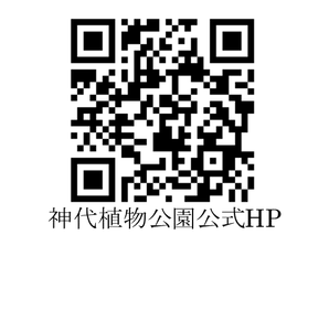 PTbvzHoRdmzyHF2J8iB1.png?w=940&h=940