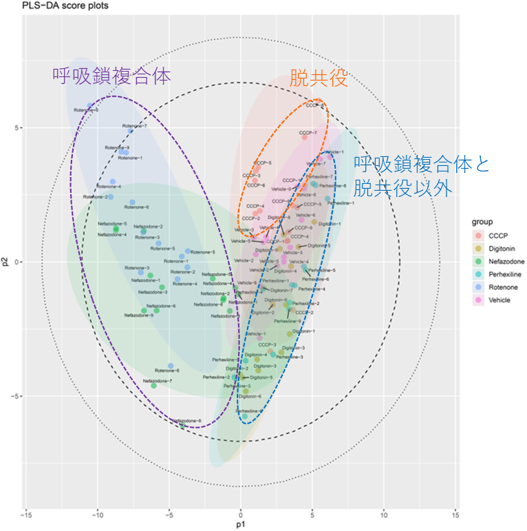 図1 各化合物を曝露したHepG2細胞、溶媒(DMSO)のみを曝露したHepG2細胞のメタボローム解析から得られたデータに多変量解析(PLS-DA)を行った結果 | 青色と緑色で示された円は呼吸鎖複合体阻害(ロテノン、ネファゾドン)、オレンジ色で示された円は脱共役(CCCP)のグループを示す。呼吸鎖複合体(紫色の破線で囲んだもの)、脱共役(オレンジ色の破線で囲んだもの)は、β酸化阻害(ペルヘキシリン)、陽性対照(ジギトニン)および溶媒(DMSO)のグループ(赤色の破線で囲んだもの)と良好に分離しており、これらの分子プロファイルが異なることを意味する。
