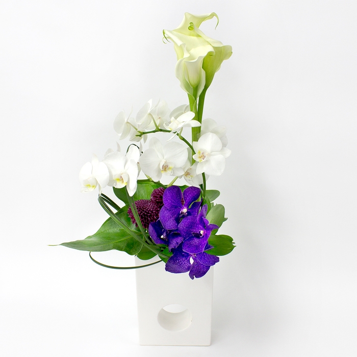 『和』のどかシリーズ L ¥16,500(税込)