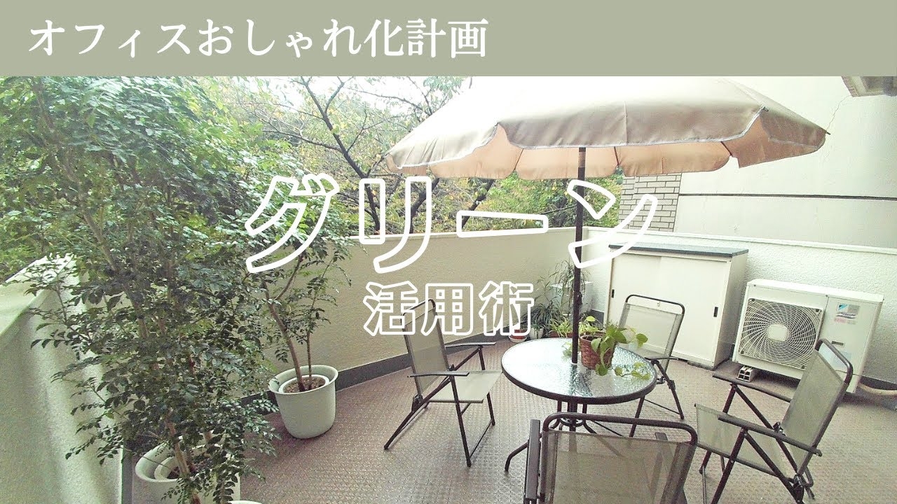 オフィスおしゃれ化計画　～グリーン（観葉植物）活用の超基本～