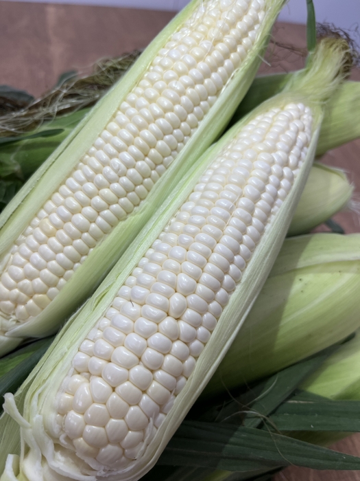 【AIRDO】ピュアホワイト