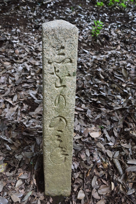 石柱「下折峯(しをりのみね)」