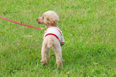 PXBhdqTCQkgGUM6ssf3P.jpeg?w=940&h=940