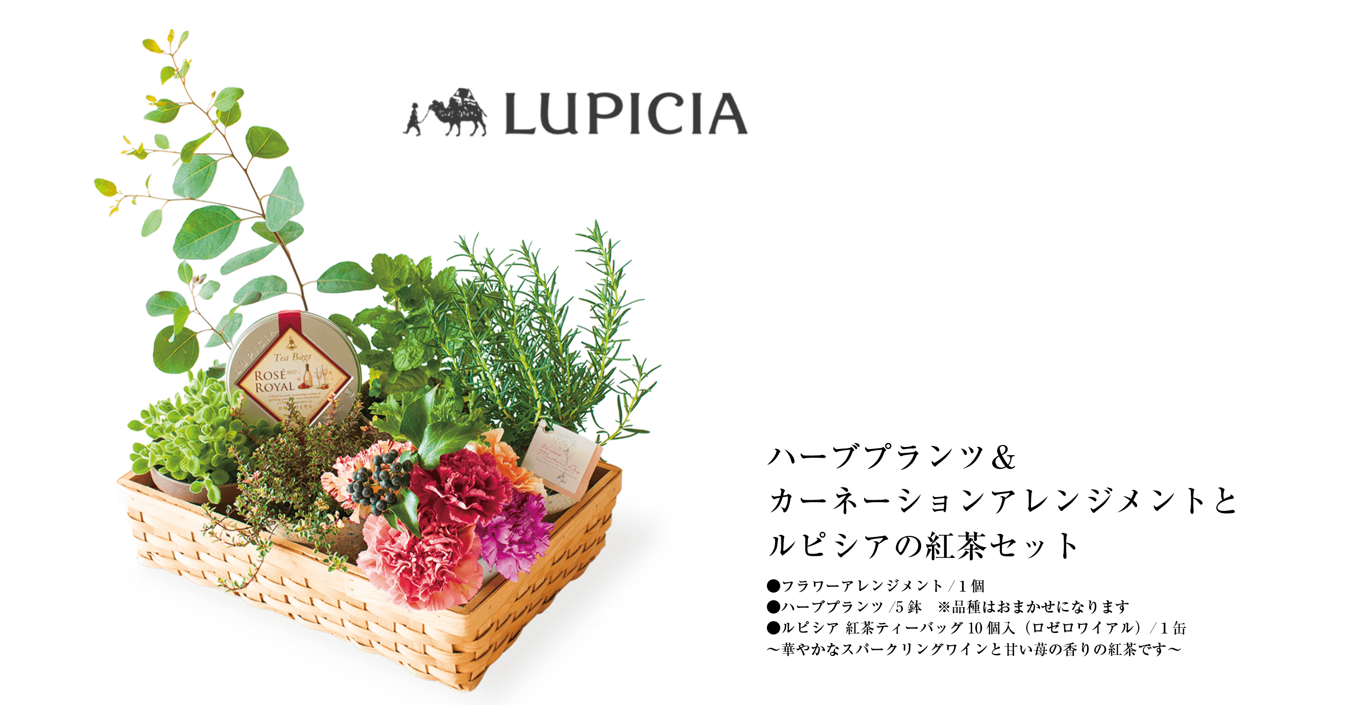 ハーブプランツ&カーネーションアレンジメントとルピシアの紅茶セット