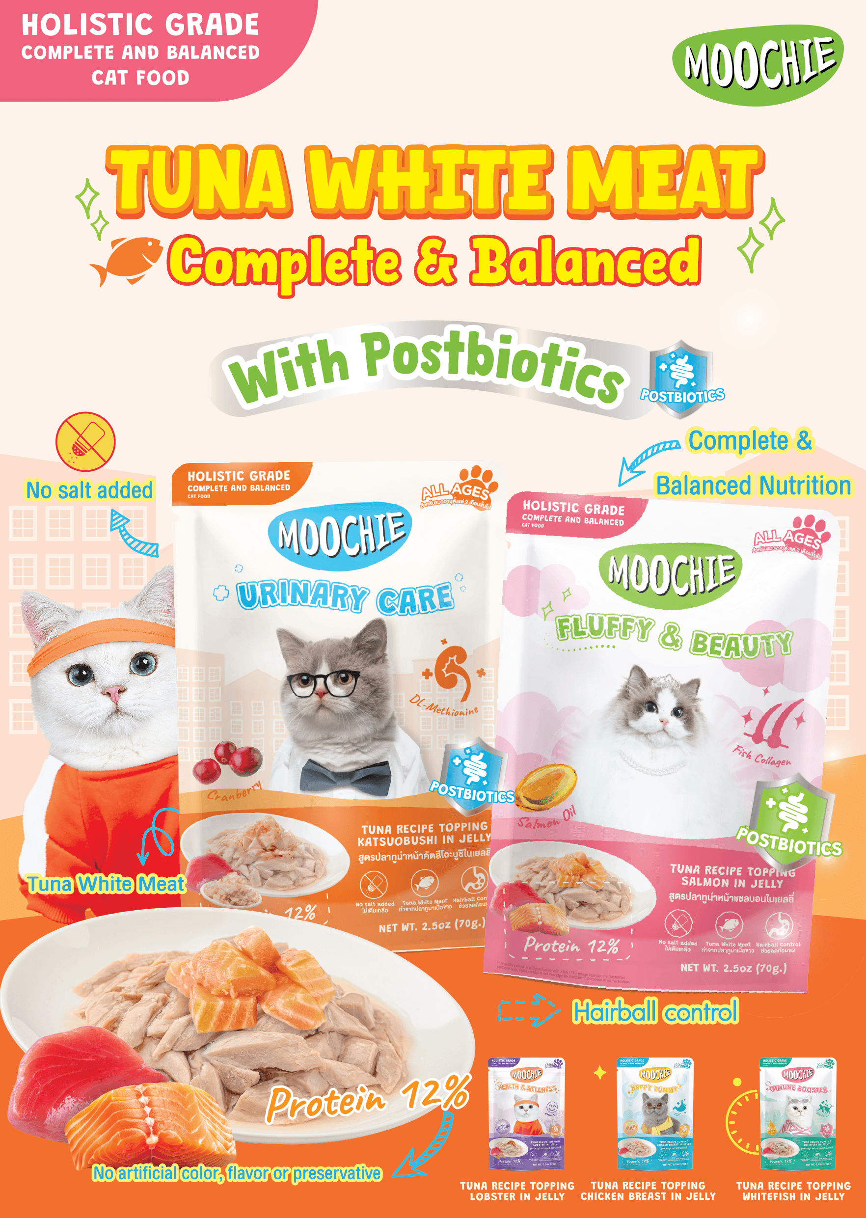 製品イメージ 10