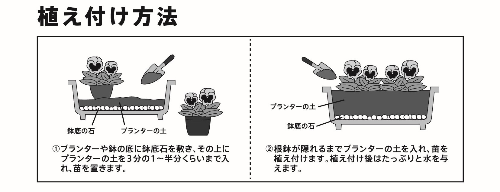 植えつけ方法(プランターの場合)
