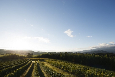 PYj1EWrSVHrLdiOGuqKa.jpg?w=940&h=940