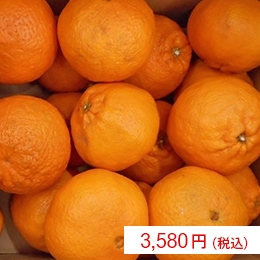 PYyjMi5fxOMyZxvc4sWO.jpg?w=940&h=940