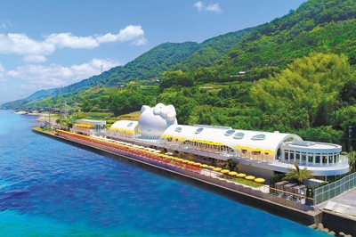 PZNmvG4ASYnWul7LFoOx.jpg?w=940&h=940