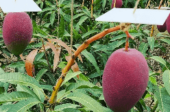 PZkktxr0FFXPcRqatwKZ.png?w=940&h=940