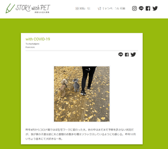 PaHyjankLmBnHMmHwdp6.png?w=940&h=940