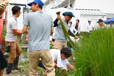 PaMDrrGN7el8NxpFXLtR.jpg?w=940&h=940