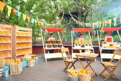 Pam3RkcP0CDmZswQDOYw.jpg?w=940&h=940