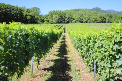 PbNE9H5stfqpRJ5gsbxe.jpg?w=940&h=940