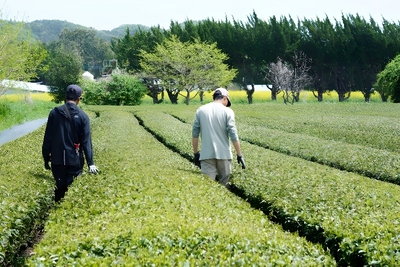 PbtQD0FWcYJdL0vvfj8V.jpg?w=940&h=940