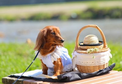 PcFF6O604HW29yhh5c6g.jpeg?w=940&h=940